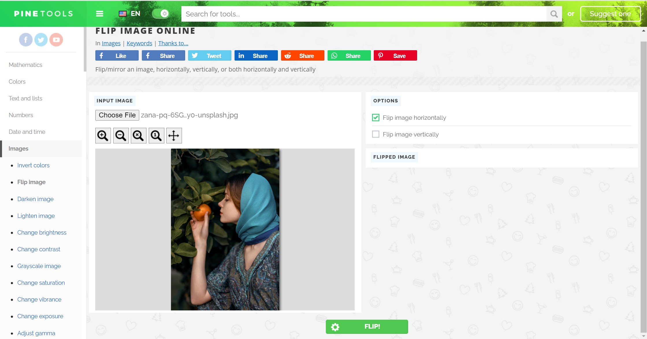 Flip a picture in pinetools
